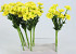 Bouquet de Asters 30cm jaune