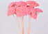 Bouquet Achillea Parker Rosé Clair 70cm