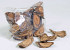 Bark Slices Curved Wall