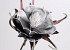 Blume Schaumstoff Schwarz, D 20cm