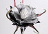 Blume Schaumstoff Schwarz, D 20cm