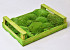 Cushion Moss light green (Crate 37x28cm)