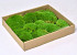 Cushion Moss light green (tray 27x32cm)