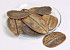 Coco de Para Blatt