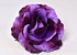 Rose D13cm Purple