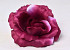 Rose D13cm Burgundy