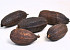 Dried Cacao Pod Brown 12-18cm