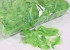 Feathers Green 100gr.