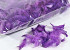 Feathers Purple 100gr.