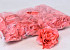 Roos D10cm Coral