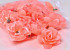 Mini Rose D5cm Peach