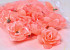 Mini Rose D5cm Pfirsich