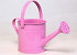 Planter Watering Can D14,5cm Pink