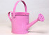 Planter Watering Can D14,5cm Rosa