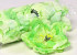 Pivoine D13cm Vert Clair