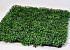 Boxwood mat 25x25cm