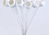 Bell Cup on 50cm stem white