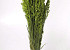 Bouquet Avoine Vert Clair 70cm