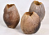 Kokosnoot Vaasje 13cm