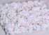 Blumen Paneele 60x40cm Weiss-Rosa