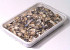 Nordsee Muscheln 1Kg