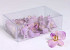 Orchid Mauve 20pcs