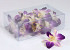 Orchid Sonia Purple White 20pcs