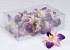 Orchidée Sonia Purple White 20pcs