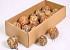 Passievrucht Gevlamd 6-8cm 40-Pack