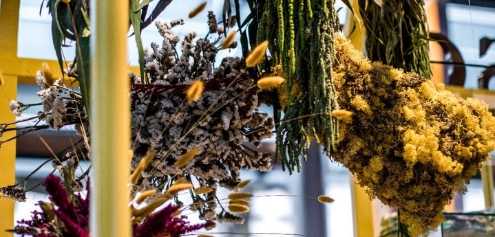 How to clean your dried flowers
