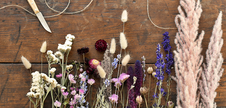 Brand new dried flowers