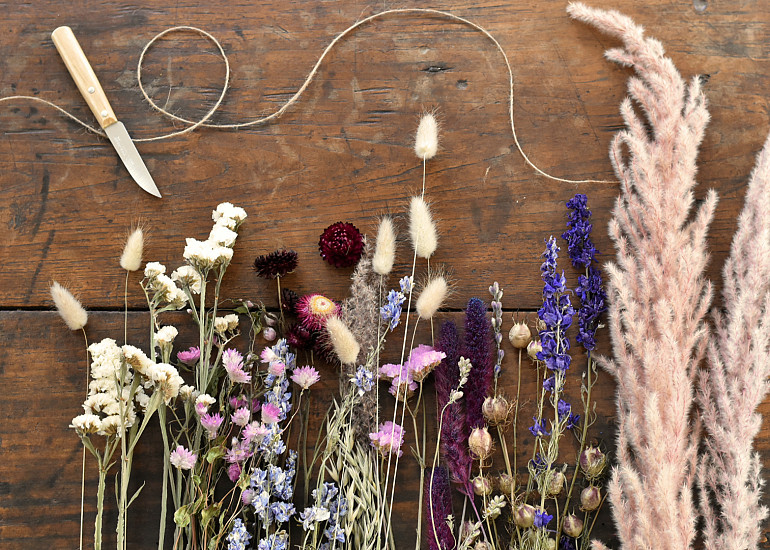 Brandneue Trockenblumen