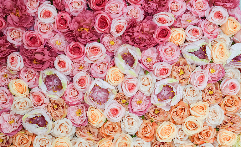 Mur de fleurs dégradé de couleur 