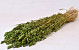 Briza Maxima 100gr. Groen