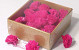 Sola Carnation 5cm Rosa 25pcs