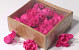 Sola Magnolia 6cm Rosé 18pcs