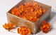 Sola Magnolia 6cm Orange 18pcs