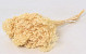 Broom Bloom Bleached 150gr.