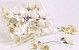 Sola Tulip 6cm white