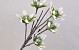 Foam Flower Spray 85cm White/Green