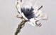 Foam flower 80cm White/Charcoal