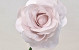 Rose en Mousse XL Rose clair, D 13cm