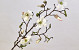 Magnolia Branch 78cm White