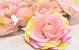 Rose Pink D11cm