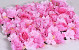 Flower Panel 60x40cm Pink