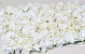 Panneau de fleurs 60x40cm Blanc
