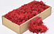 Cladonia Mos Rood 500gr.