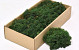 Cladonia Moss Dark Green 500g.