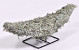 Half Moon Grey Moss 30cm