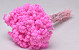 Helichrysum Immortelle 30cm Roze